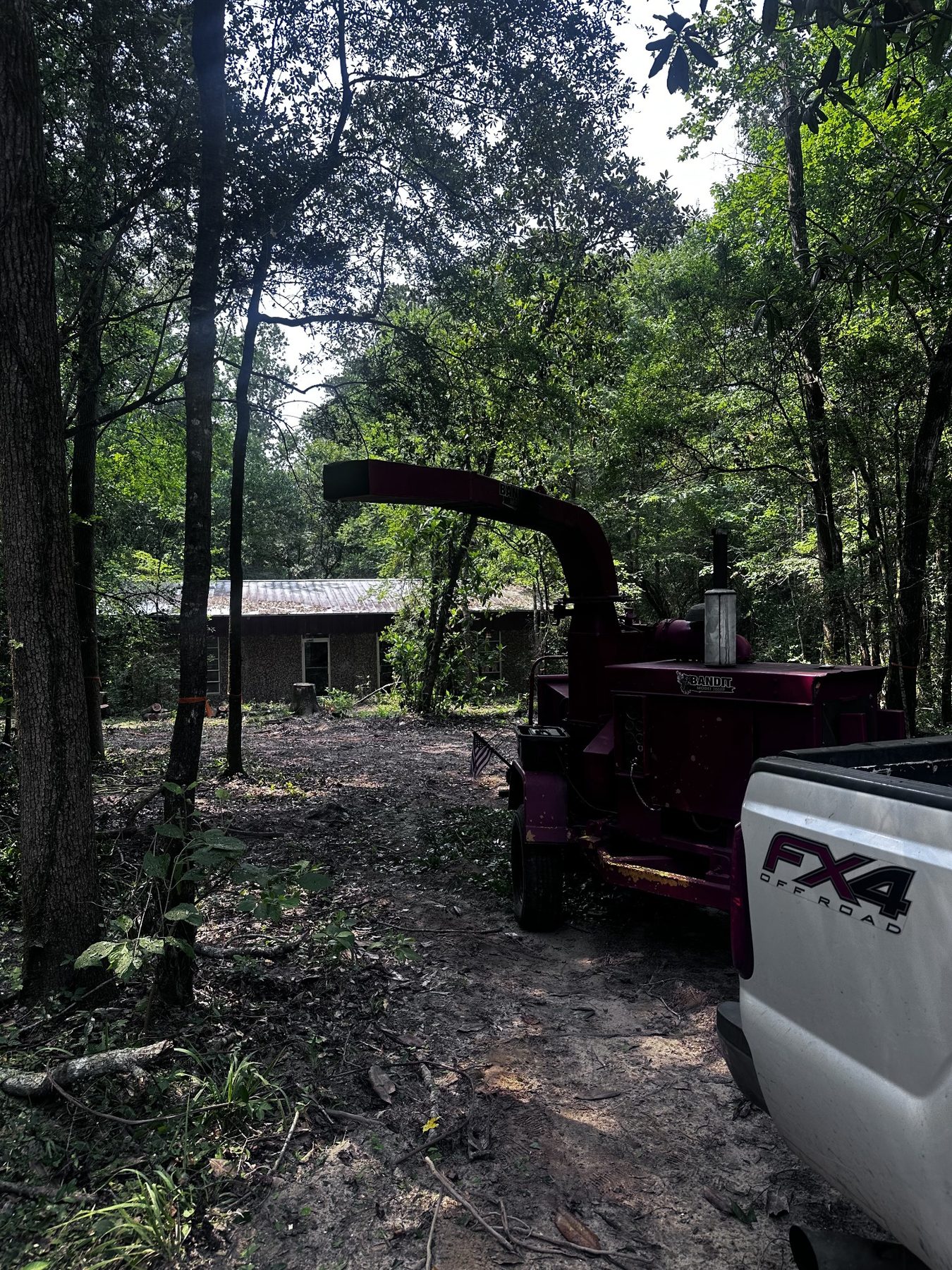 Acreage clearing photo 3