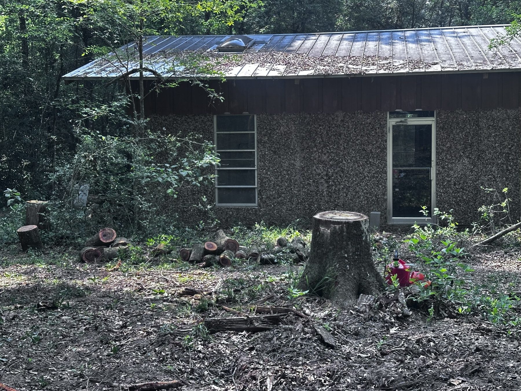 Acreage clearing photo 4