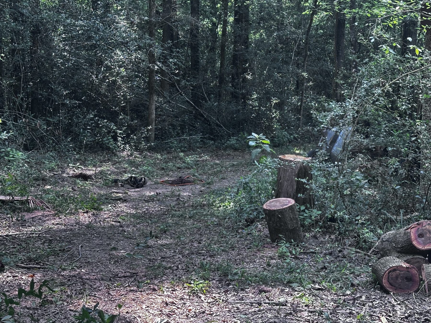 Acreage clearing photo 6