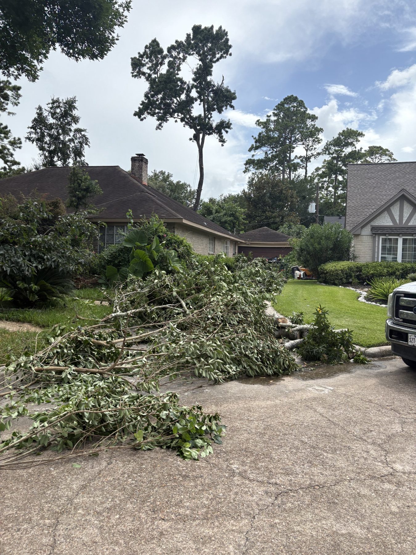 Equipment and cleanup photo 1