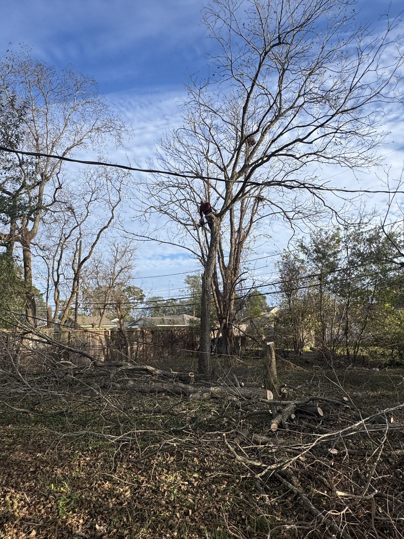 Equipment and cleanup photo 7