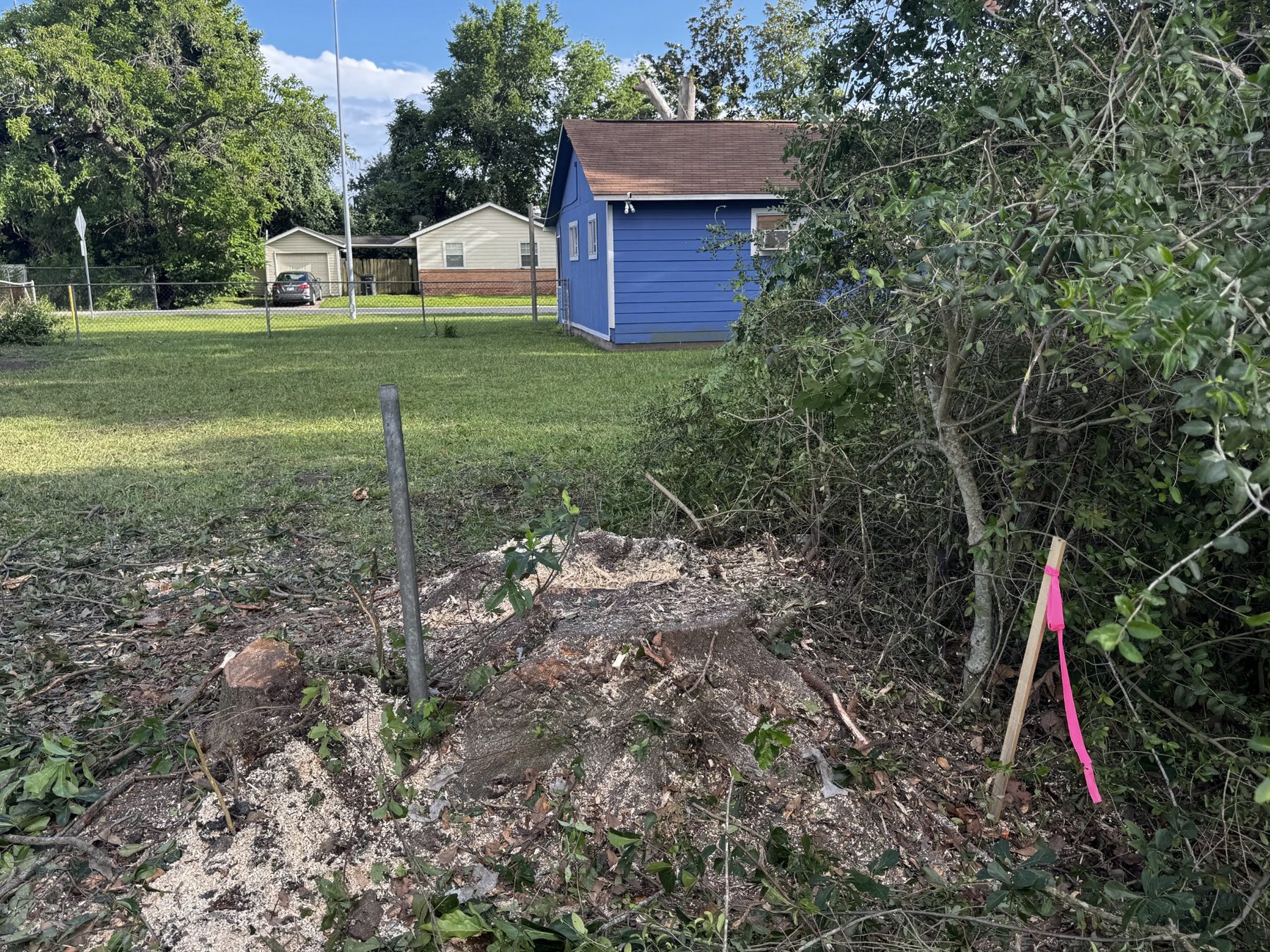 Fence-line clearing photo 5