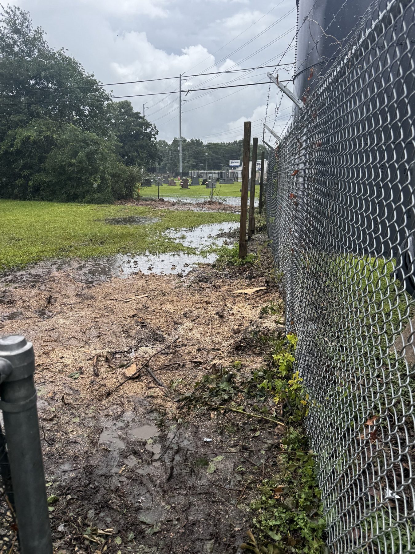 Fence-line clearing photo 6