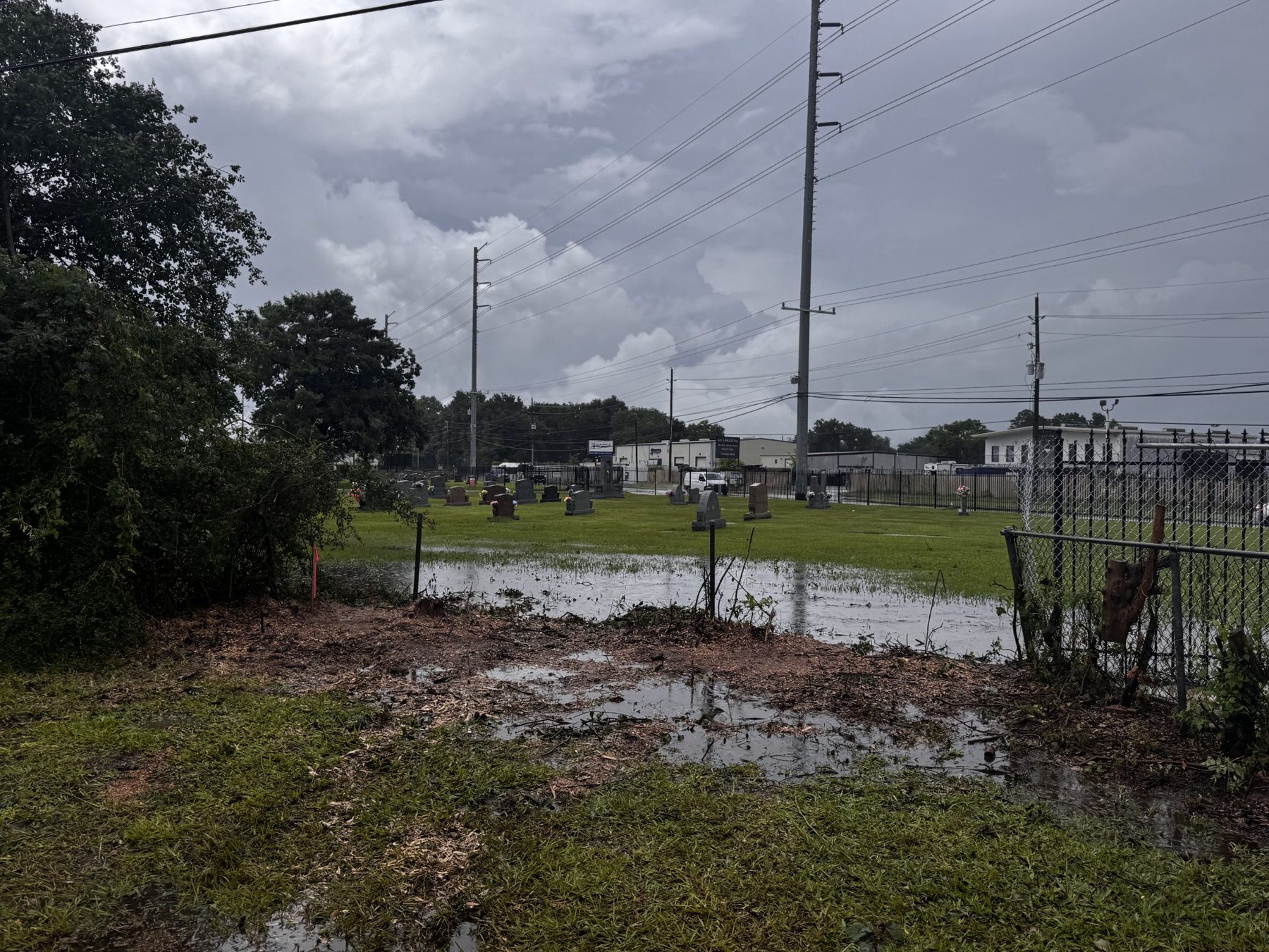 Fence-line clearing photo 7