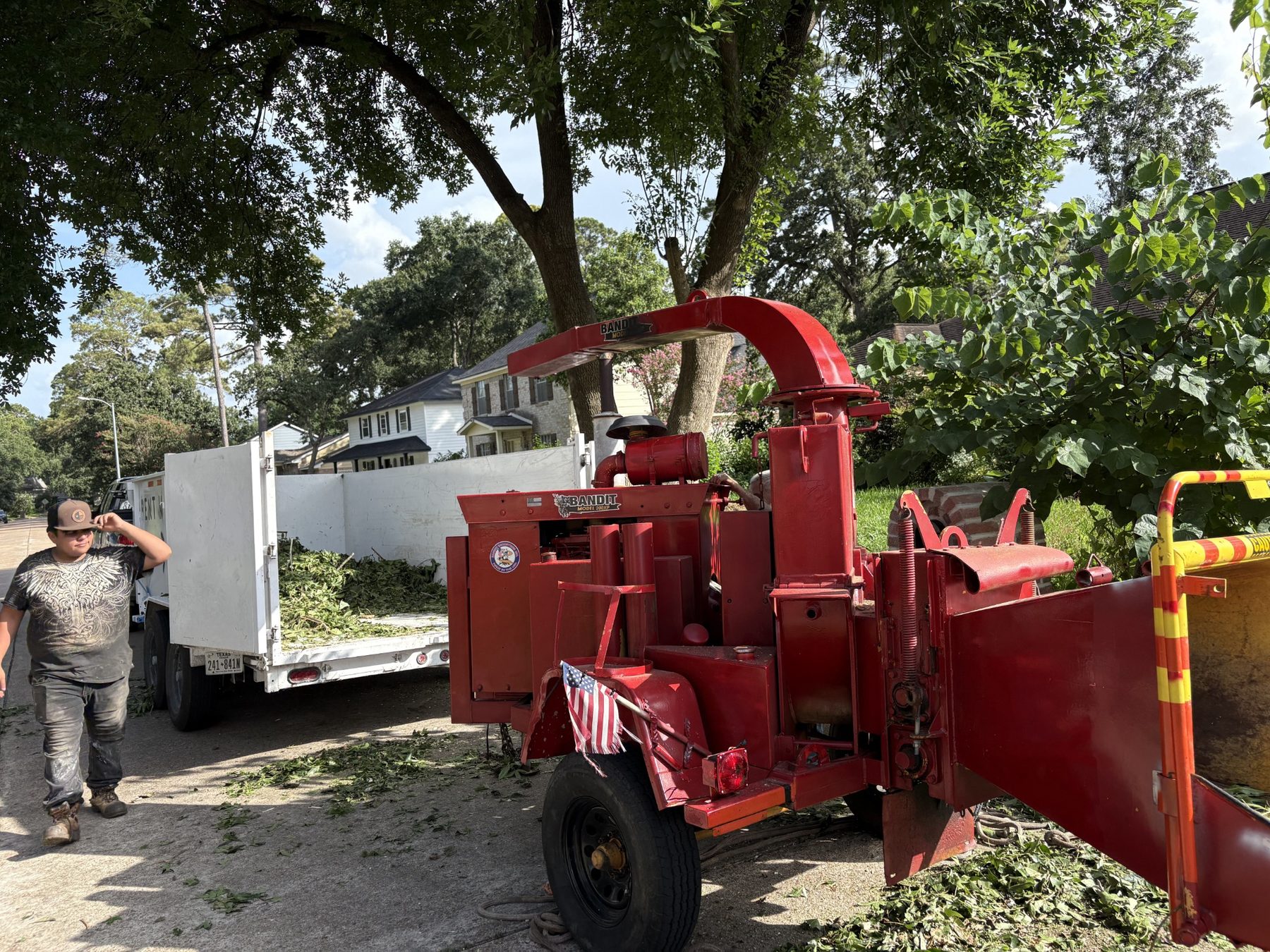 Residential tree removal photo 5
