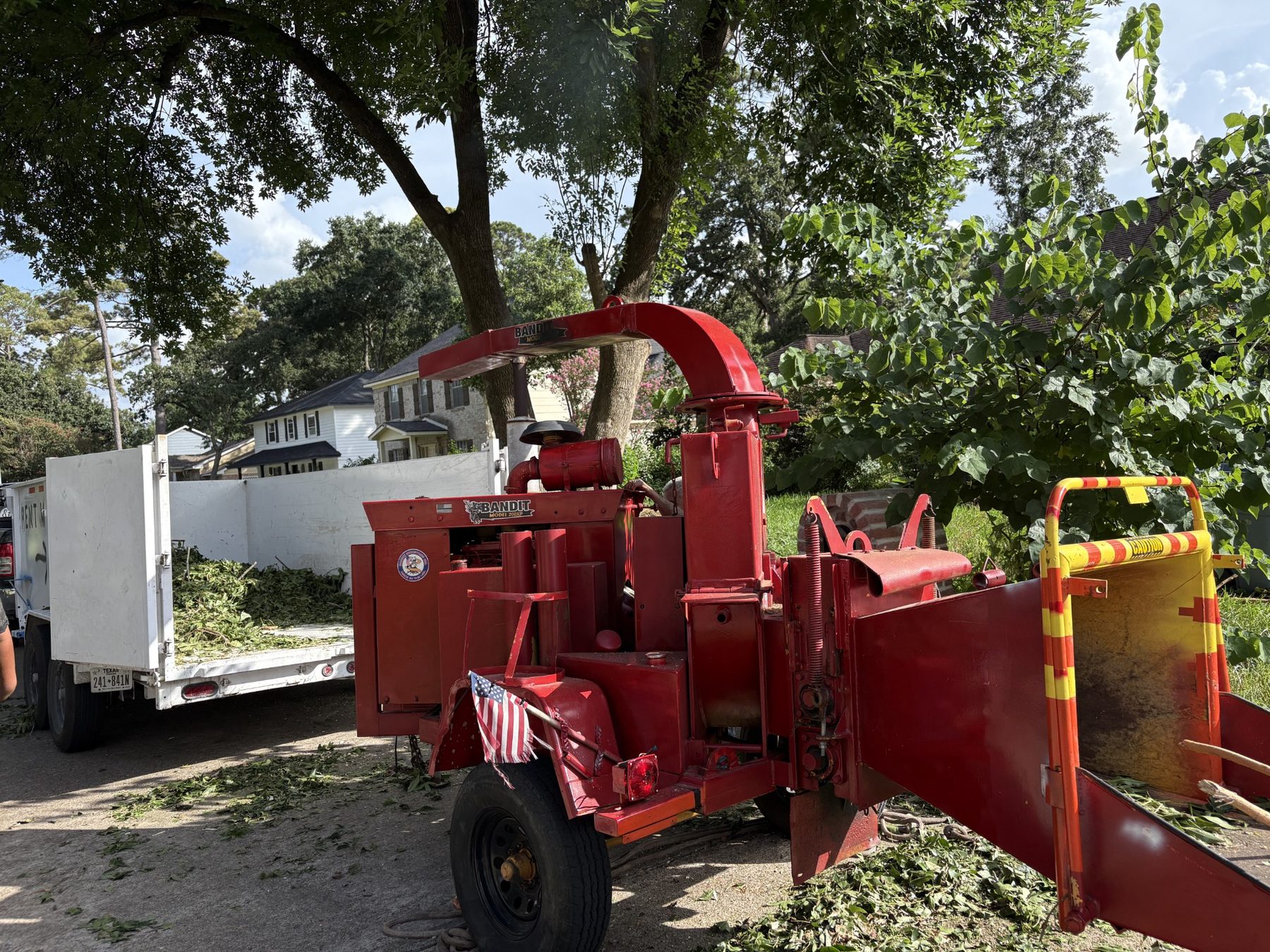 Residential tree removal photo 6