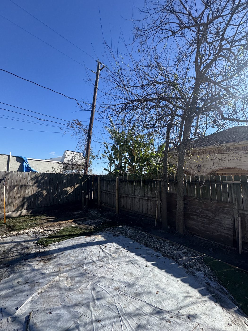 Tree service job site